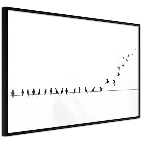  Poster - Birds on a Wire 90x60