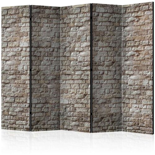  Paravan u 5 dijelova - Reality II [Room Dividers] 225x172 Cijene