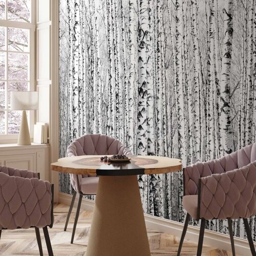  Foto tapeta - Birch forest 250x175 Standard Cene