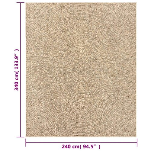 vidaXL Tepih ZIZUR 240 x 340 cm s izgledom jute unutarnji i vanjski Cene