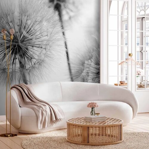  Foto tapeta - Time for Dandelions - Second Variant 250x175 Cene