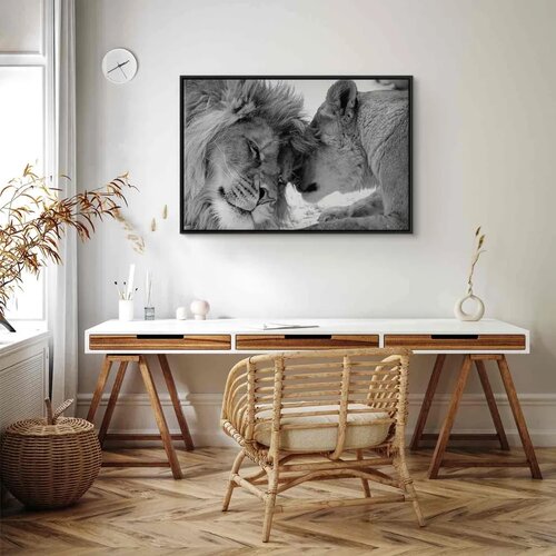  Slika - Lion\&amp;#039;s Love 120x80 U crnom drvenom okviru Slike