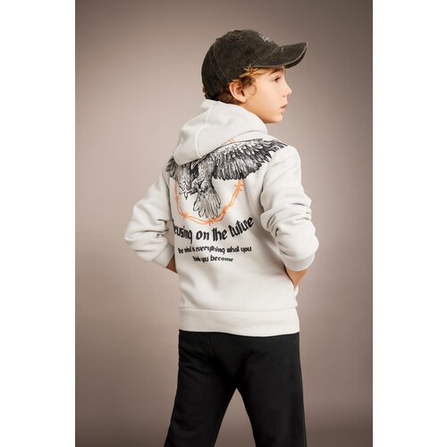 Defacto boy's Printed Hooded Thick Sweatshirt Slike