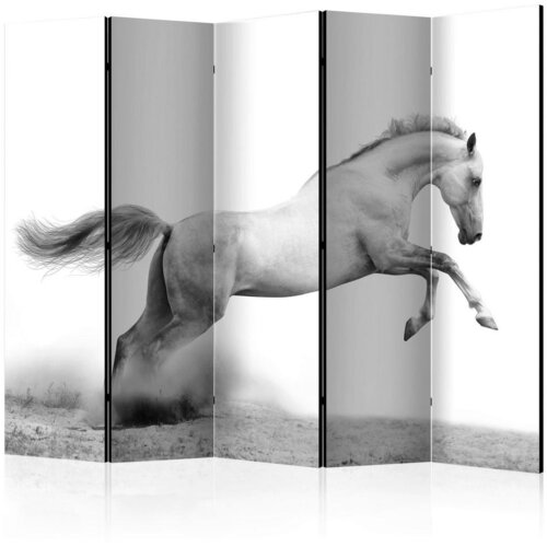 Artgeist Paravan White Gallop I, 5-Delni, Dvostranski Cene