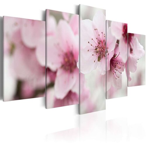  Slika - Cherry- gentleness and beauty 200x100 Cijene