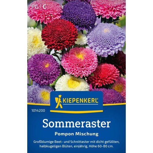 KIEPENKERL Callistephus chinensis "Pompon mešanica" - 1 pkt. Cene