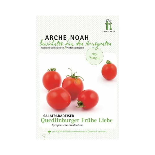 Arche Noah Ekološki paradižnik "Quedlinburger Frühe Liebe"