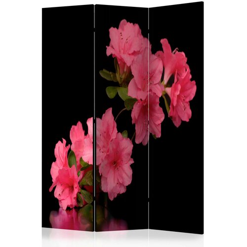Artgeist PARAVAN 135/172/3 cm črna, pink Cene