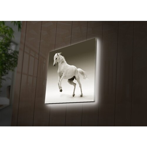 Wallity Slika sa LED osvetljenjem 4040DACT-41, 40x40 cm Cene