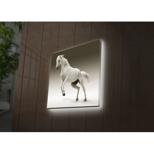 Wallity Zidna slika sa LED osvetljenjem 4040DACT-41, 40x40 cm Cene