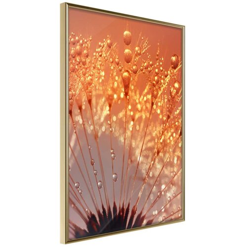  Poster - Orange Breath of the Summer 40x60 Slike