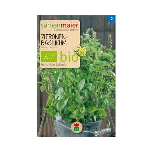 Samen Maier Bio limonina bazilika Slike