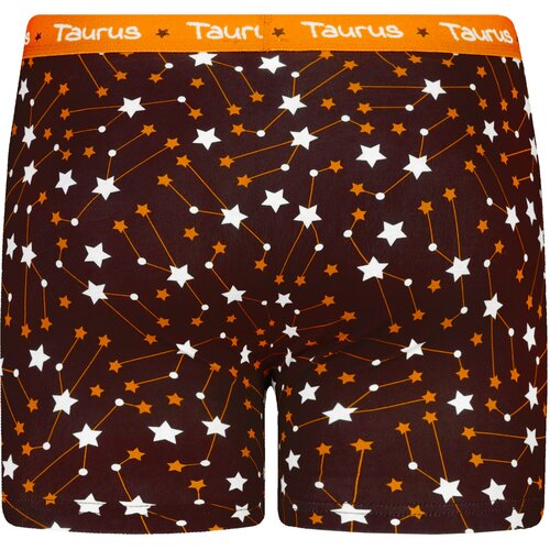 Frogies Men's boxers Zodiac Bik Cene