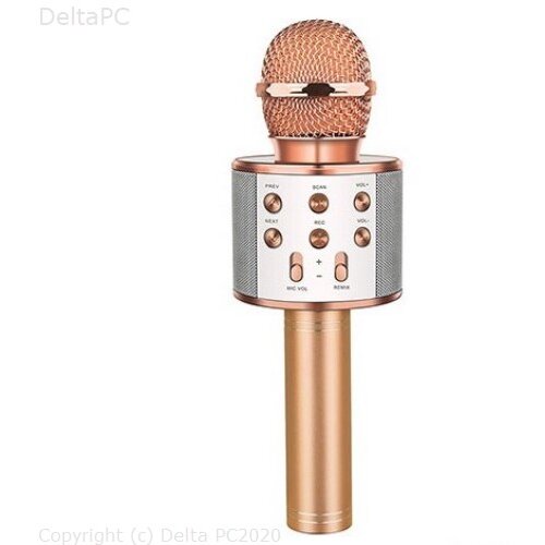 Hytech HY-XKSP35 Karaoke Bluetooth mikrofon zlatni Cijene