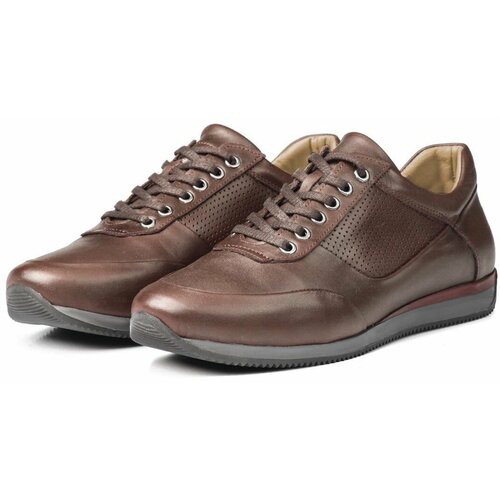 Ducavelli Lion Point Men's Casual Shoes From Genuine Leather With Plush Sheepskin Brown. Slike