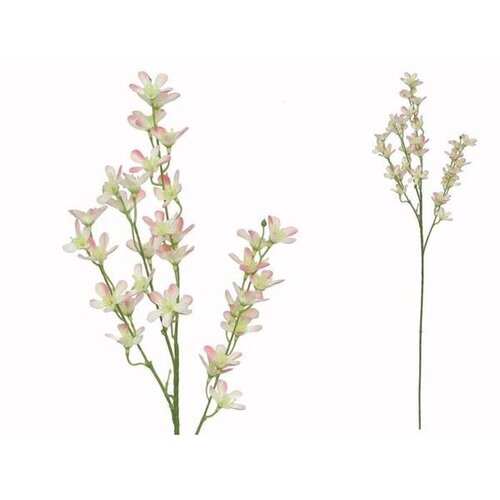  CVIJEĆE X3 PVC 3506 Cijene