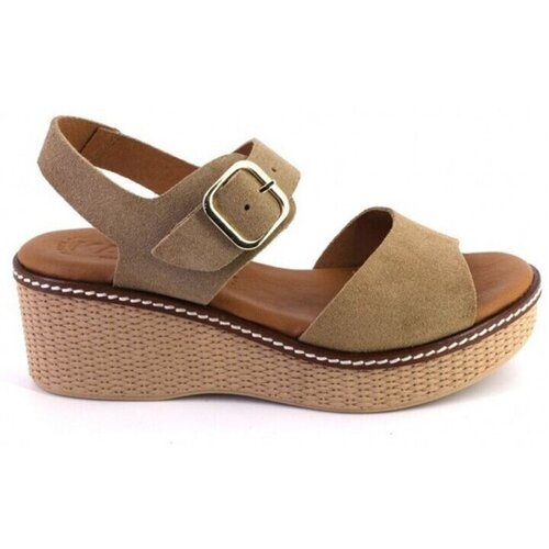 Zapp 2661 Smeđa Slike