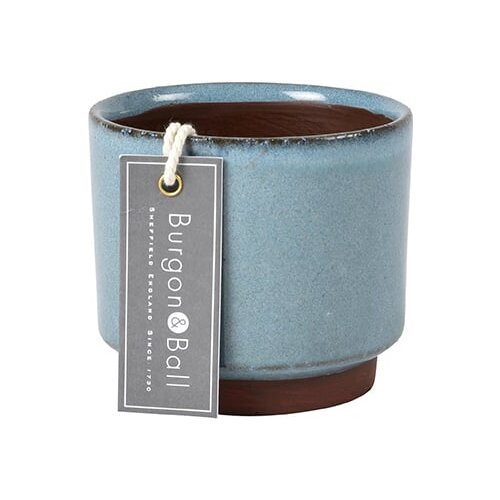 Burgon &amp;amp; Ball Sukulent lonec - &amp;Oslash; 8 cm - Modra Slike