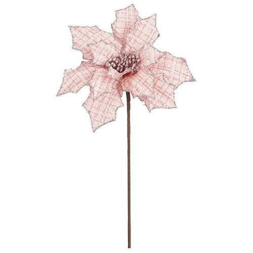 Mica Decorations Dračje (Božična zvezda, 45 cm, Roza) Slike