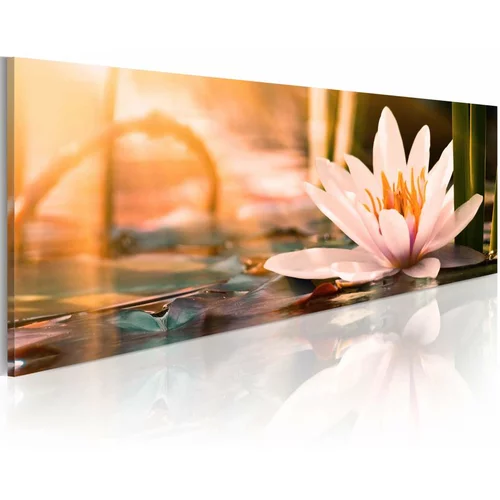  Slika - Beautiful Lotus 150x50