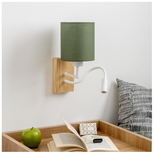  Brilagi - LED zidna lampa NUBILA WOOD 1xE27/25W/230V + LED/3W hrast/zelena Cene