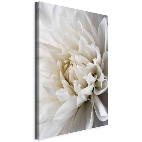 Artgeist Slika Na Platnu White Dahlia Cene