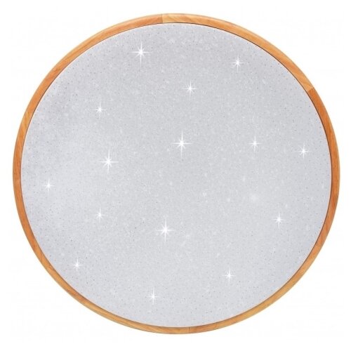  Brilagi - LED prigu&amp;scaron;iva plafonska svetiljka PINE LED/60W/230V + daljinski upravljač Slike