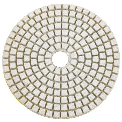  BRUSNI/POLIRNI DISK 105 MM PM-DTS-1051T Slike