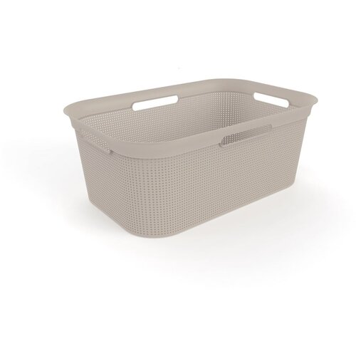 Rotho Bež plastični koš za perilo 41 l Brisen - Rotho Cene