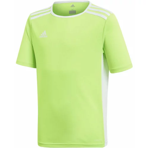 Adidas ENTRADA 18 JSYY Nogometni dres za dječake, svijetlo zelena, veličina