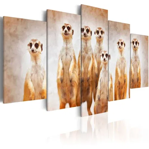  Slika - Family of meerkats 100x50
