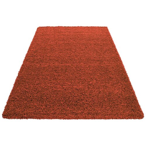 Novel Preproga Z Visokim Florom Life, Terakota, 60x110cm Slike