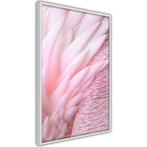  Poster - Pink Feathers 30x45 Slike