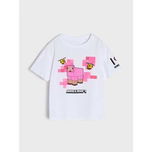 Sinsay Pamučna majica s printom Minecraft Cijene