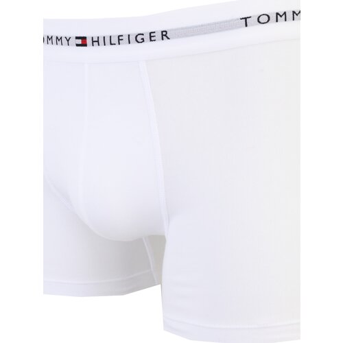 Tommy Hilfiger Underwear Boksarice svetlo siva / rdeča / črna / bela Slike