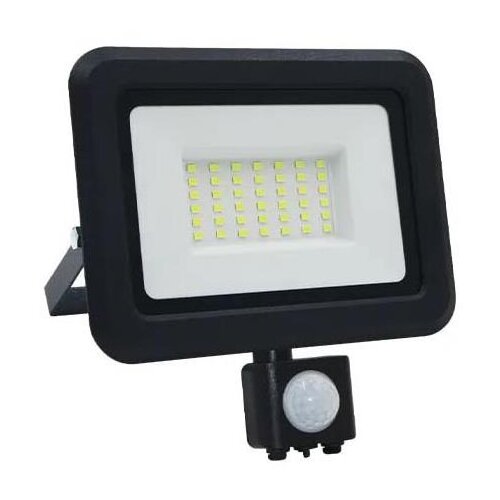  LED reflektor sa senzorom LED/30W/230V 4000K IP44 Cene