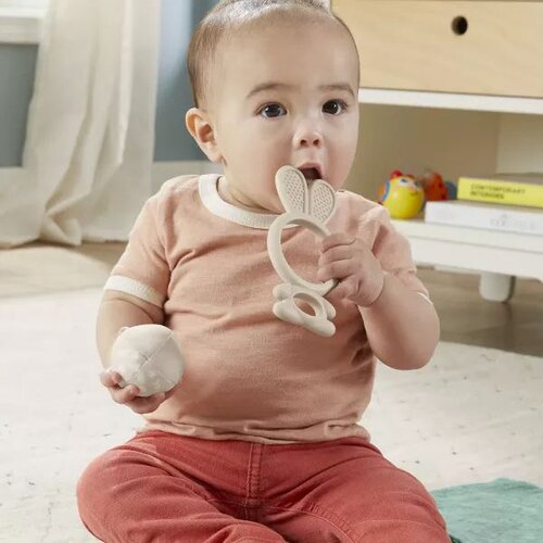 Fisher Price Fisher-Price: Sensimals Pozdrav osjetilima set od 4 igračke za bebe - Cene