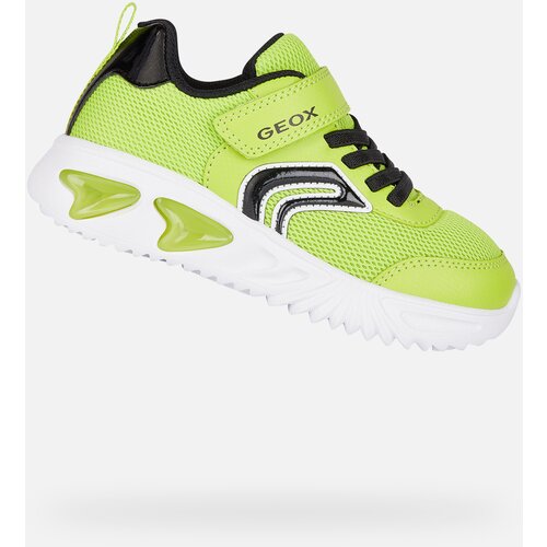 Geox Light green boys&amp;#039; sneakers Assister - Boys Slike