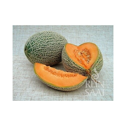 ReinSaat Melona "Best Jumbo" Cene