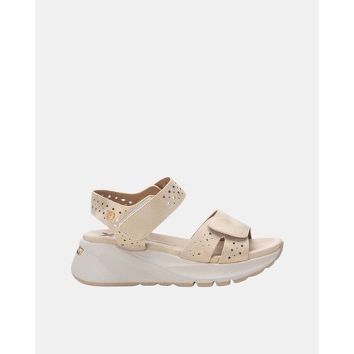 Xti 143897 Gold Cijene