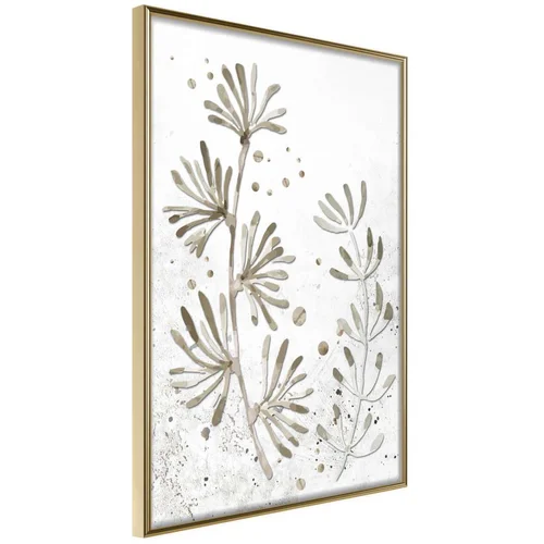  Poster - Dried Plants 30x45