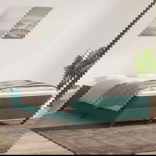 Box spring postelja z vzmetnico temno zelena 120x210 cm žamet, (21790670) Cene