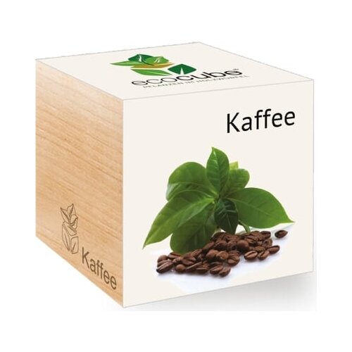 Feel Green ecocube "Exotics" - kava Cene
