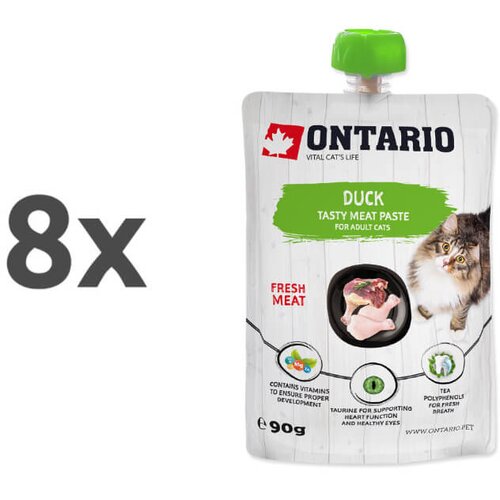 Ontario Cat pasta z raco 8 x 90 g Cene