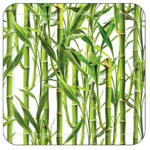 In Protizdrsna podloga za tuš in kad Diaqua Smoothie bambus (53 x 53 cm, zelena/bela)