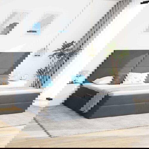 vidaXL Krevet S LED lampica s pohranom Tamno siva 180 x 200 cm Baršun Cijene