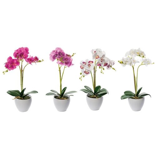  ORHIDEJA 50CM 16 CVJETOVA 71148 Cijene