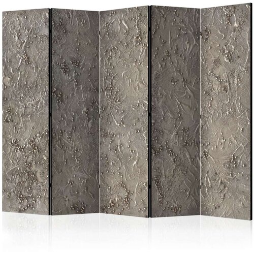  Paravan u 5 dijelova - Silver Serenade II [Room Dividers] 225x172 Cijene