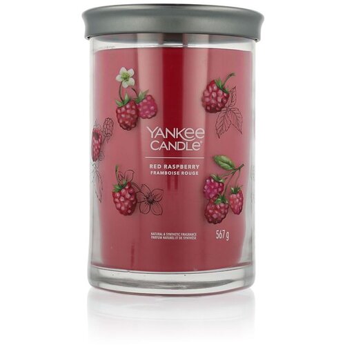 Yankee Candle Tumbler Red Raspberry 567 g Cijene