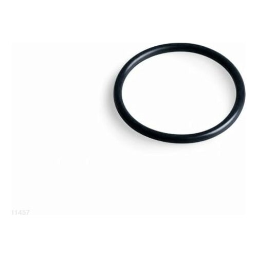Intex O-obroč za predfilter Cene